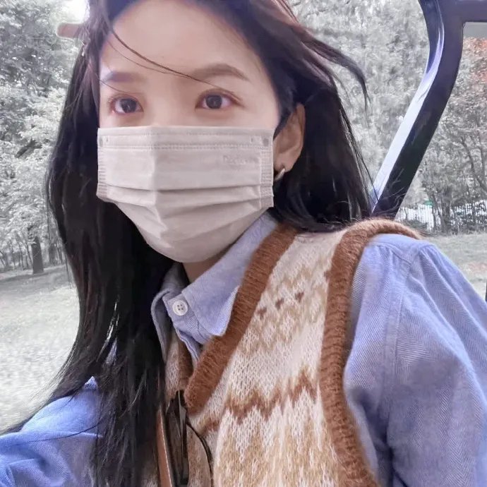 史努比敬献：欢迎回家，富兰克林